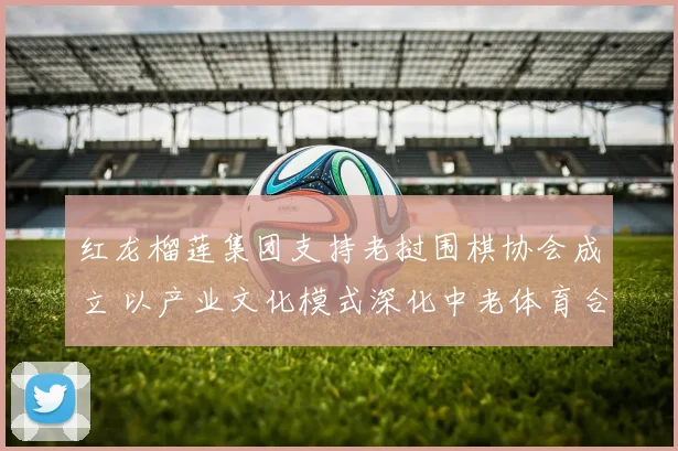 红龙榴莲集团支持老挝围棋协会成立 以产业文化模式深化中老体育合作