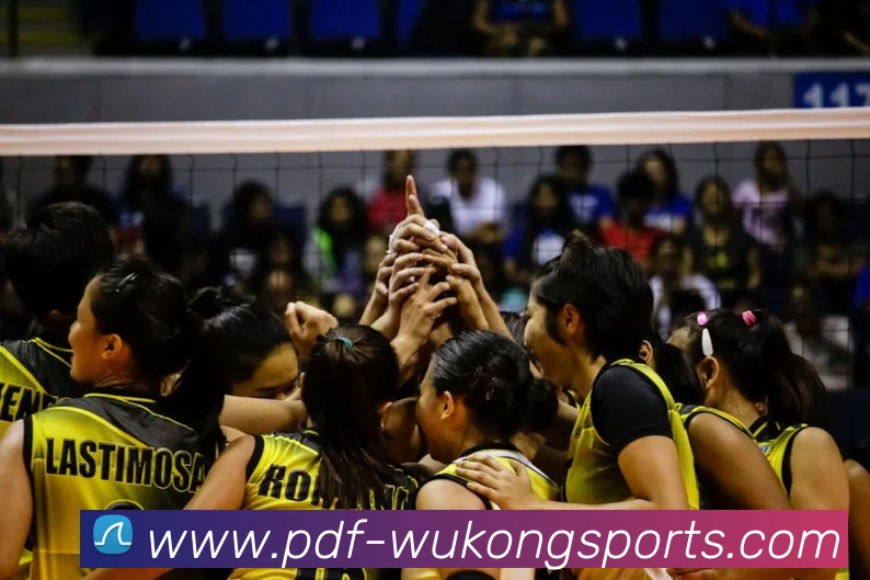 悟空体育平台生态图